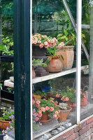 Immagine N°: 14321508