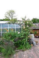 Immagine N°: 14321512