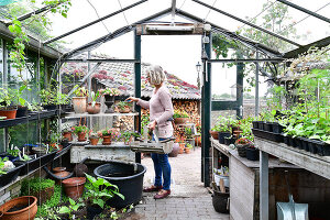 Immagine N°: 14321516