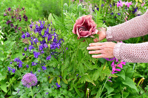 Immagine N°: 14321518