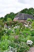 Immagine N°: 14321522