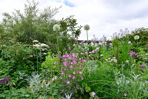 Immagine N°: 14321524