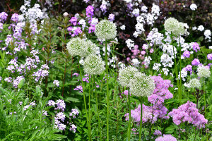 Immagine N°: 14321528