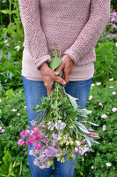 Immagine N°: 14321530