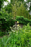 Immagine N°: 14321538