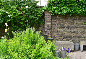 Immagine N°: 14321540