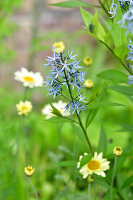 Immagine N°: 14321542