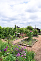 Immagine N°: 14321550