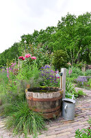 Immagine N°: 14321554