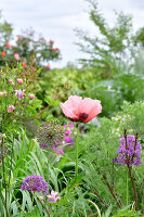 Immagine N°: 14321562