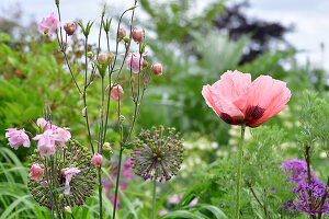 Immagine N°: 14321564