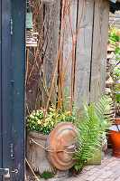 Immagine N°: 14321566