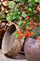 Immagine N°: 14321568