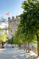 Immagine N°: 14404510