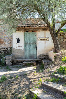 Immagine N°: 14404544