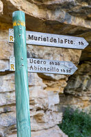 Immagine N°: 14404550