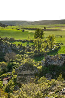 Immagine N°: 14404552