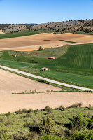 Immagine N°: 14404554