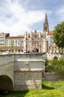 Immagine N°: 14404562