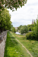 Immagine N°: 14404564