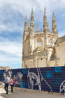 Immagine N°: 14404568