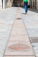 Immagine N°: 14404572