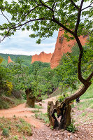 Immagine N°: 14404588