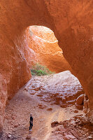 Immagine N°: 14404596