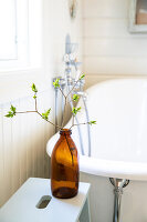 Zdjęcie numer: 14414048