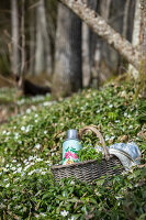 Zdjęcie numer: 14414088