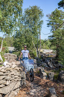 Immagine N°: 14414734