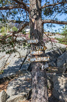 Immagine N°: 14414736