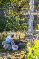 Immagine N°: 14414748