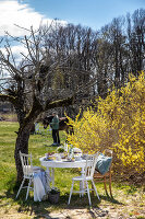 Zdjęcie numer: 14414800