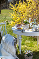 Zdjęcie numer: 14414804