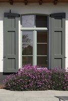 Zdjęcie numer: 14416574