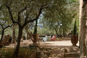 Immagine N°: 14416756