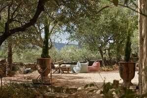 Immagine N°: 14416758