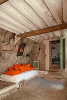 Immagine N°: 14416762