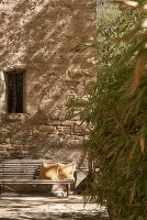 Immagine N°: 14416792