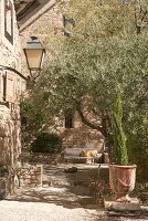 Immagine N°: 14416796