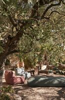 Immagine N°: 14416798