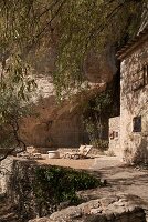 Immagine N°: 14416806