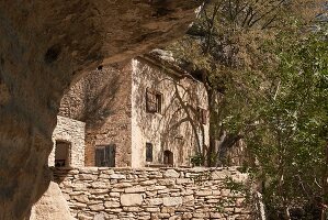 Immagine N°: 14416812