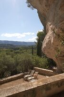 Immagine N°: 14416816