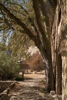 Immagine N°: 14416818