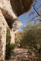 Immagine N°: 14416820