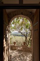 Immagine N°: 14416822