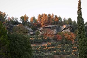 Immagine N°: 14416848