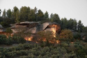 Immagine N°: 14416850